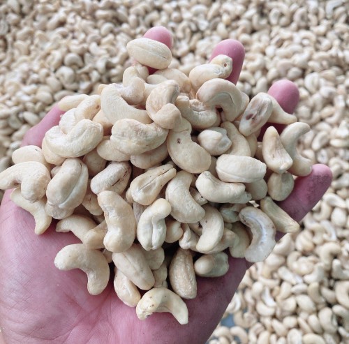 W180, W210 AND W280 CASHEW NUTS AVAILABLE