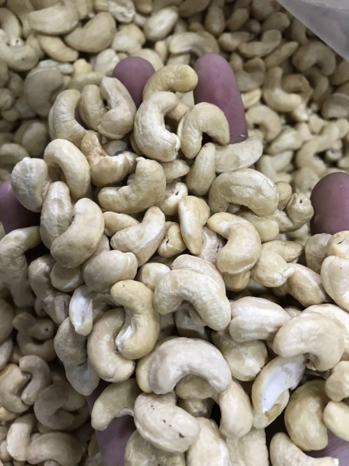 Wholesale Cashew Nuts W180,W240 AND W320